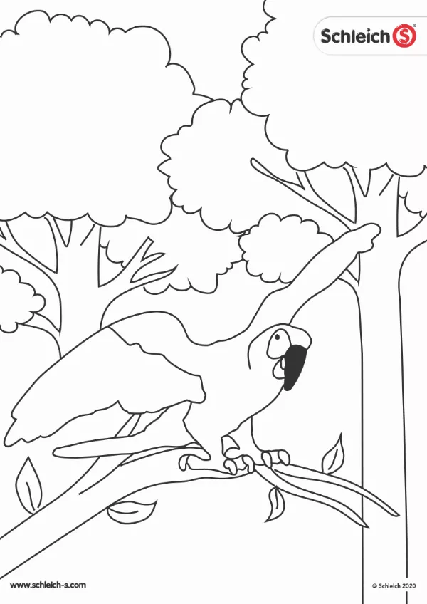 Schleich Wild Life Colouring Sheet